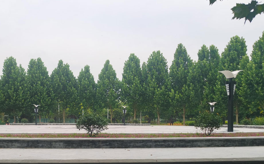 景觀燈，公園景觀燈.jpg